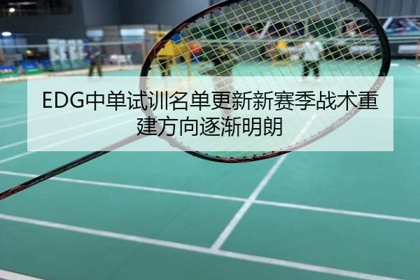 EDG中单试训名单更新新赛季战术重建方向逐渐明朗
