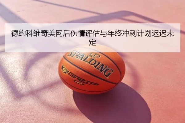 德约科维奇美网后伤情评估与年终冲刺计划迟迟未定